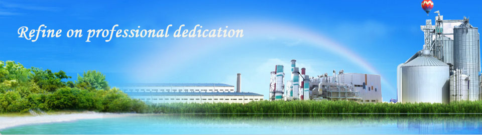 Smart Home Shanghai Full on New Energy Technology Co Ltd 